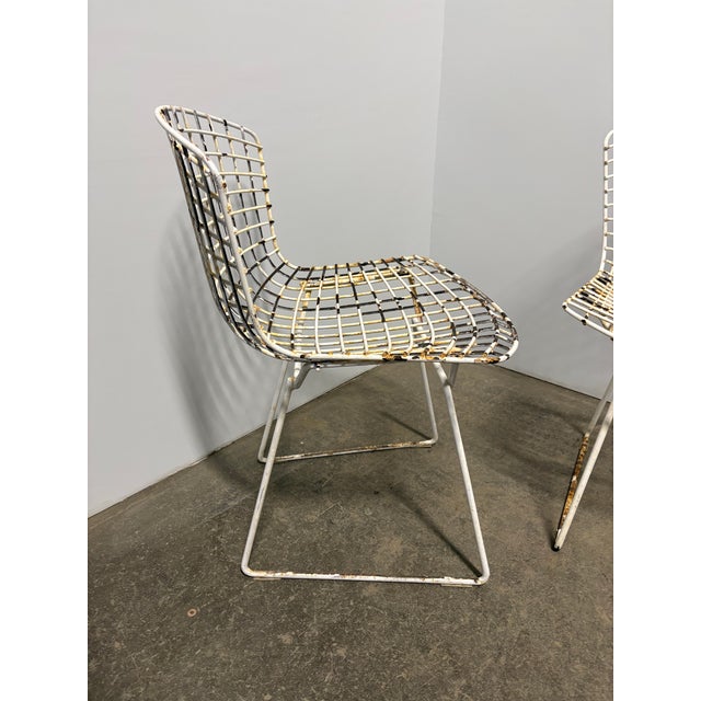 Mid-Century Modern Pair Mid Century Modern Attributed Knoll Bertoia Chairs For Sale - Image 3 of 3