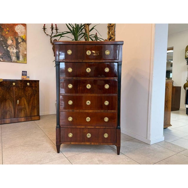Biedermeier Chest in Walnut For Sale - Image 15 of 15