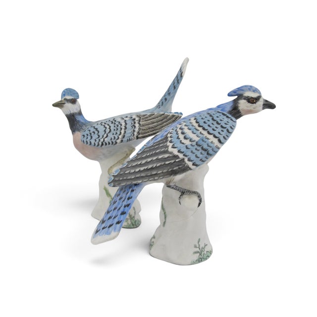 Staffordshire Staffordshire Hand Painted Porcelain Blue Jay Figurine Pair With Box For Sale - Image 4 of 18