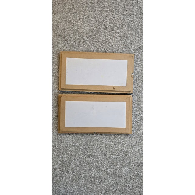 1920s Framed Butterfly Pictures, 1920s, Set of 2 For Sale - Image 5 of 6