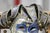 Venice Carnival Mask, 2000s For Sale - Image 6 of 18