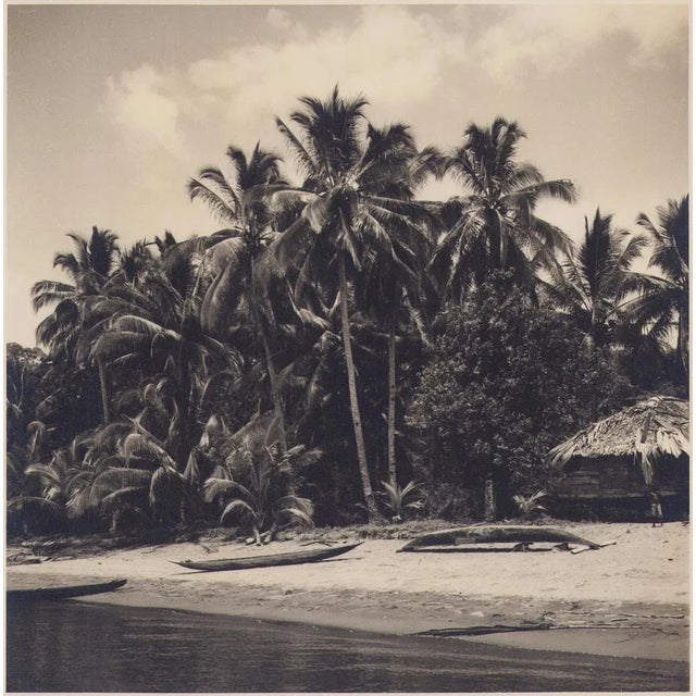 Hanna Seidel, Colombian Palm Trees on Beach, Black and White Photograph, 1960s For Sale - Image 3 of 3