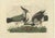 Paper Sepp & Nozeman, Northern Lapwing, 1770, Paper For Sale - Image 7 of 7