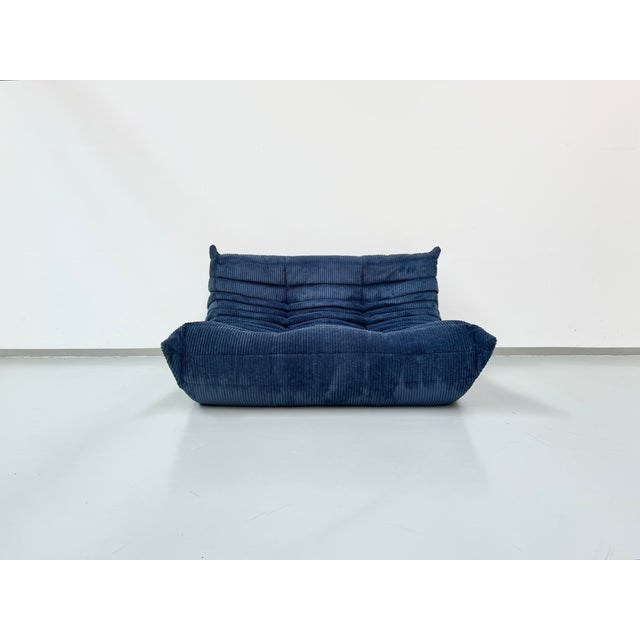 French Togo 2-Seater Sofa in Blue Corduroy attributed Michel Ducaroy for Ligne Roset, 1970s For Sale - Image 9 of 12