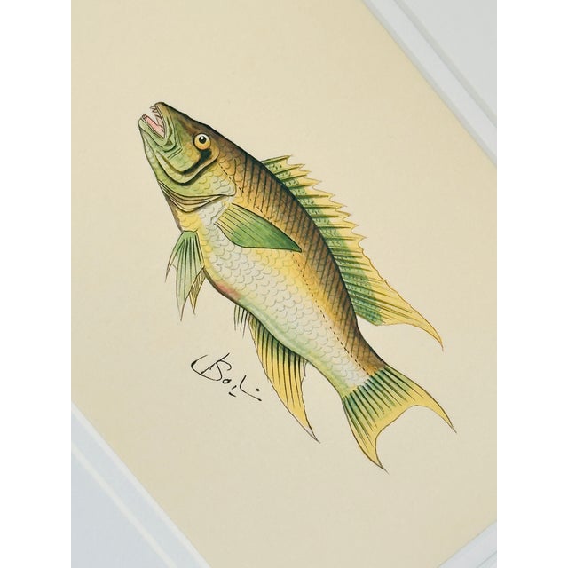 hand-painted (as always) in soft gradients of green and warm golden yellow. His body is brought to life through the finest...