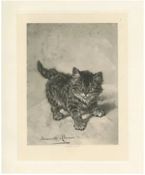 Henriette Ronner, Rascal, A Playful Cat, 1894, Print