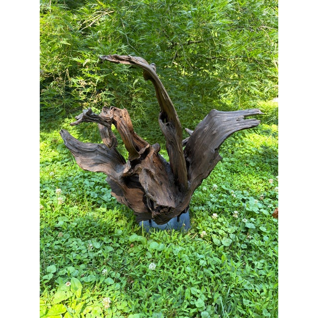 Vintage Teak Wood Root Sculpture on Metal Stand For Sale - Image 17 of 17