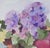 American Primroses and Fruit Still Life by Les Anderson For Sale - Image 3 of 4
