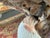 20th Century Shell Encrusted Table For Sale - Image 9 of 15