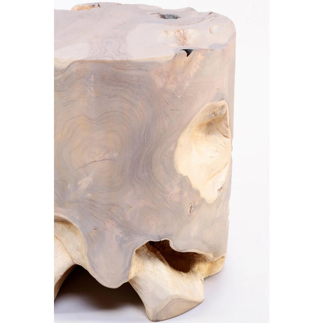 Bleached White Teak Root Accent or Side Table or Stool 36 For Sale - Image 4 of 5