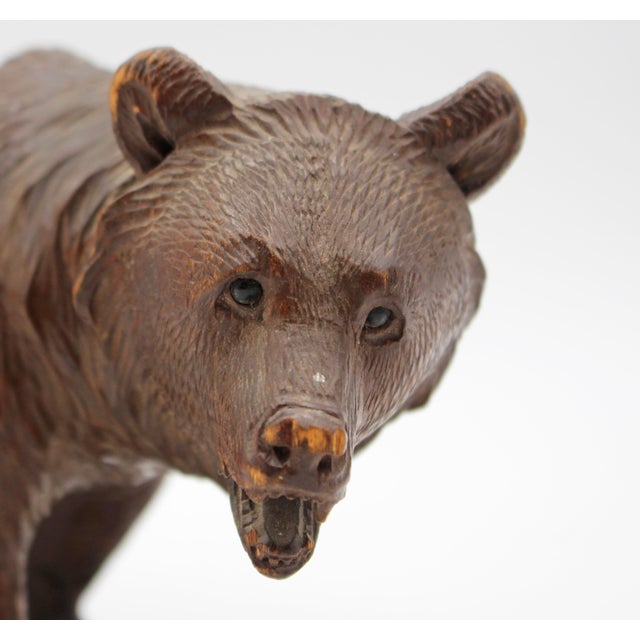 Late 19th century small-medium size strolling Black Forest Bear, Swiss. Good brown color. Good face - small, bead eyes....