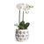 Traditional Millie Hand-Painted Pot Small For Sale - Image 3 of 4