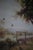 1970s Bucolic Country Cottage Oil Painting by Einstein in Multi-Layer Gilt Frame For Sale - Image 11 of 16