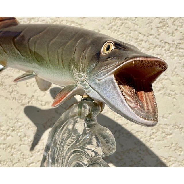 Light Slush Pike Chasing Perch For Sale - Image 5 of 13