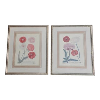 Pair of Johann Wilhelm Weinmann Botanical Engravings For Sale