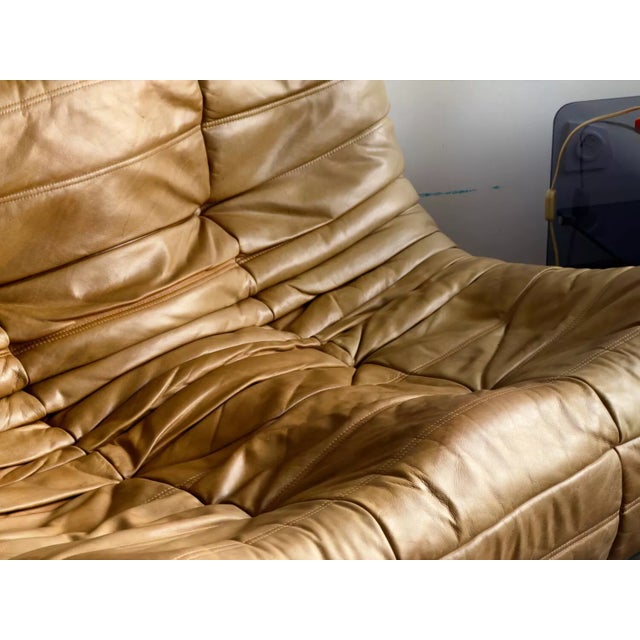 Brown Togo 2-Seater Sofa Ligne Roset For Sale - Image 8 of 13