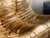 Brown Togo 2-Seater Sofa Ligne Roset For Sale - Image 8 of 13