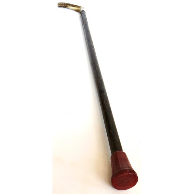 Antique Stag Horn Handle American Walking Stick Circa 1900 For Sale In Reno/Lake Tahoe - Image 6 of 7