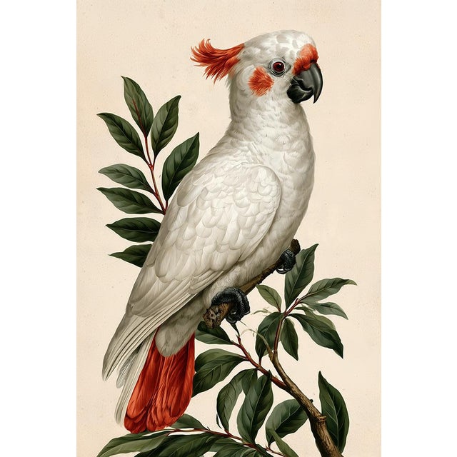 Illustration Set of 24 — Natural History Cabinet of Curiosities | 19th-Century Natural History Plates | Vintage Scientific Illustration | Gallery Wall Collection For Sale - Image 3 of 18