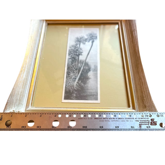 Pair of 1940s Old Florida Black & White Photographs in White Washed Pickled Gilt Frames and Ochre Mat – Palms & Oak-Canopied River For Sale - Image 9 of 11