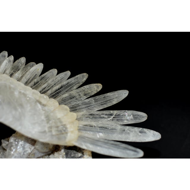 Tan Large Majestic Rock Crystal Quartz Eagle Gemstone Sculpture For Sale - Image 8 of 12
