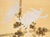 1970s "Tit and Chrysanthemums", Showa Era Japanese Painted Silk Bybu Screen For Sale - Image 5 of 18