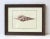 A beautiful Italian seashell framed print, circa late-20th century, Italy. Seashell print is from Florence, Italy, as...