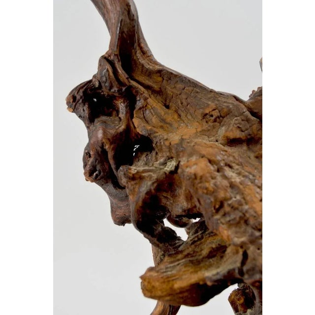 Sculptural Driftwood Lamps - a Pair For Sale In New York - Image 6 of 11