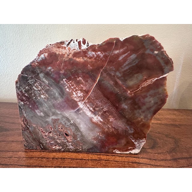 Mid-Century Modern Large Vintage Petrified Wood Symmetrical Bookends With Reds, Browns, Whites, Grays For Sale - Image 3 of 10