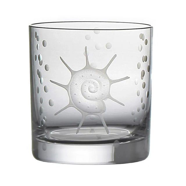 Glass ARTEL Sea Life Double Old Fashioned Glasses, Clear - Set of 6 For Sale - Image 7 of 7