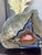 Stone Mid 20th Century Spectacular Red Fox Agate Thunderegg Extra Large Bookends For Sale - Image 7 of 10