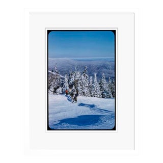 A Mountain View 1955 by Toni Frissell Brown Framed For Sale