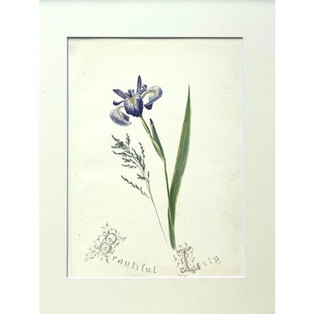 A beautiful original antique watercolor botanical floral painting from a late 19th century artist portfolio or field...