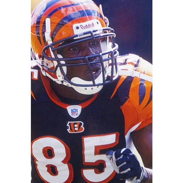 Late 20th Century Cincinnati Bengals Chad Johnson Just Like 7-11 Always Open Signed Photo 26" For Sale - Image 6 of 10
