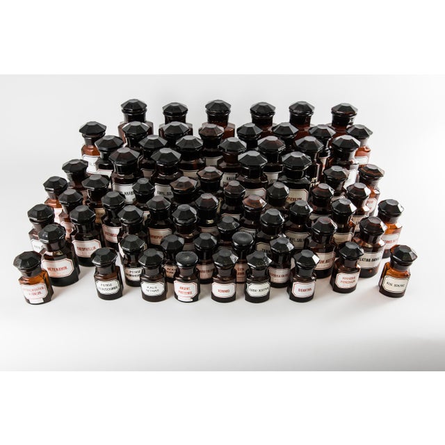 Brown Vintage Amber Pharmacy Bottles, 1960, Set of 68 For Sale - Image 8 of 11
