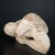 Leonora Eunice Arye 1931-2001 The Kiss Carved Marble sculpture Inscribed:verso: L Arye '77 11" L x 8" W x 7" H. FREE...