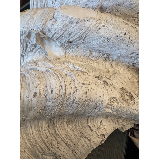 2020s Lombok Clam Shell, Resin For Sale - Image 5 of 7