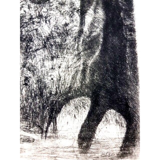 Black Edouard Goerg - Magic Jungle - Original Etching 1946 For Sale - Image 8 of 10