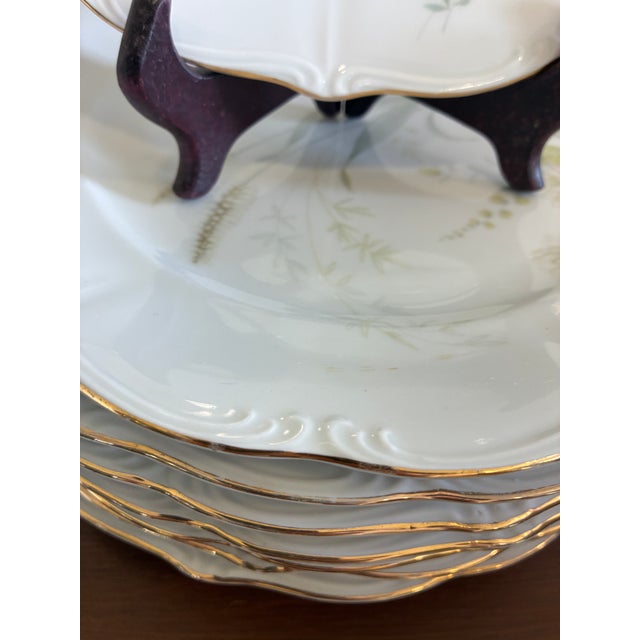 Vintage Forest Bavaria Dinner Plates With Gold Rim - Set of 8 For Sale - Image 9 of 12