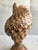 Brown 1940s Triton Conch Shell Lamp On Coconut Base For Sale - Image 8 of 10