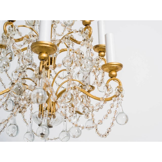 1960s Italian Crystal Drop and Giltwood Chandelier For Sale - Image 5 of 7