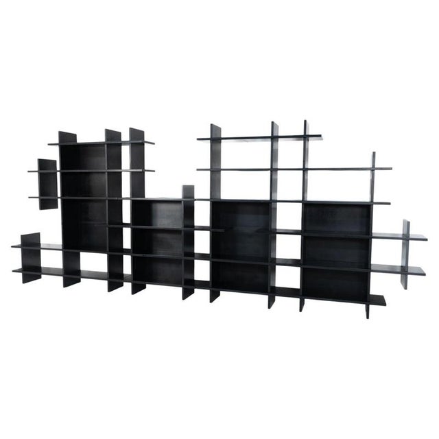 Mid-Century Modern Black Bookcase by Eugenio Gerli for Tecno, Italy, 1966 For Sale - Image 11 of 11