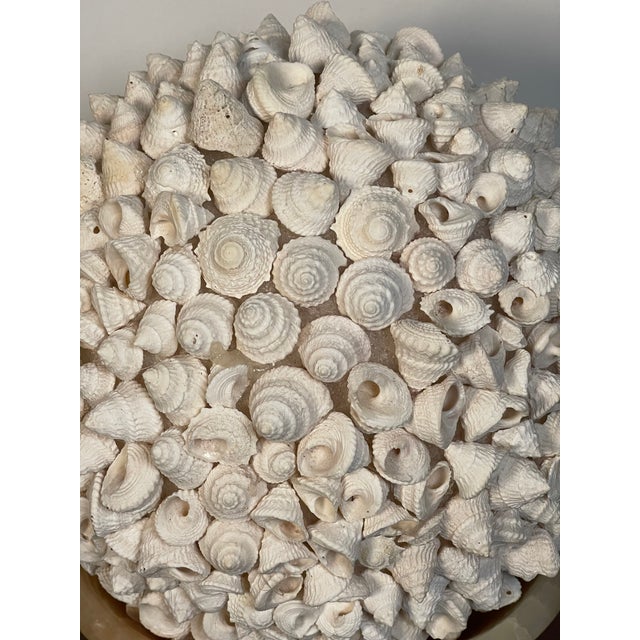 1960s 1960s Sea Shells Globe on Italian Onyx Tazza For Sale - Image 5 of 5