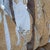 Early 20th Century French-Style Carved Wood Sofa With Striped Upholstery For Sale - Image 4 of 18
