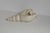 1960s Sculptural Shell Vase in Stoneware by C.H. Brannam, 1965 For Sale - Image 5 of 12