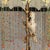 1980s Cockatoo Table Lamp | Beaded Dome Shade For Sale - Image 5 of 6