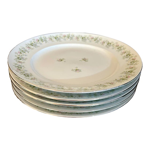 Vintage Haviland Bavaria "Forever Spring" Dinner Plates - S/5 For Sale