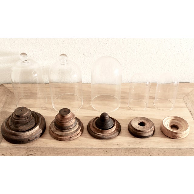 French Handblown Glass Bell Jar Display with Wooden Stand Marking Arc De Triomphe, Paris, Set of 5 For Sale - Image 9 of 10