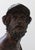 Late 19th Century Antique "Menelaus" Grand Tour Bronze Sculpture For Sale - Image 5 of 12