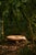 Metal Fango Coffee Table, Sustainable Natural Yaré Fiber by Francisco Jaramillo For Sale - Image 7 of 9